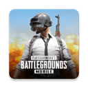 pubg mobile国际服