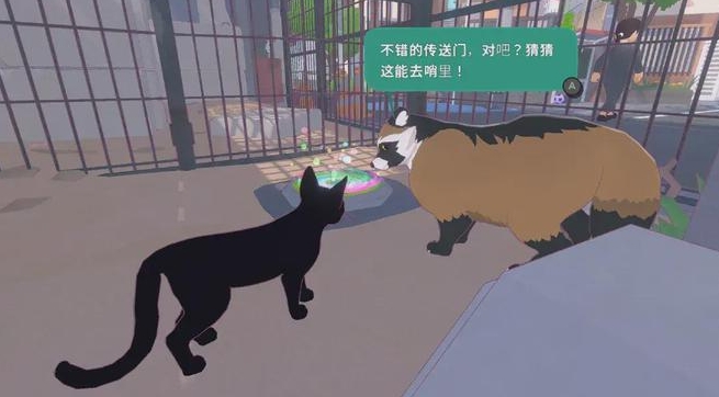 小猫咪大城市