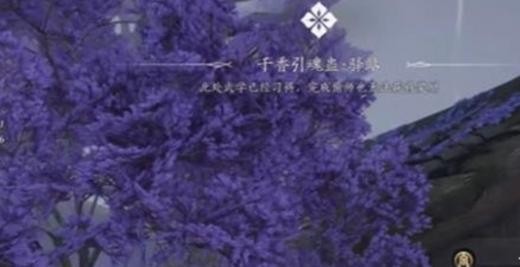 燕云十六声朝生暮落任务怎么过