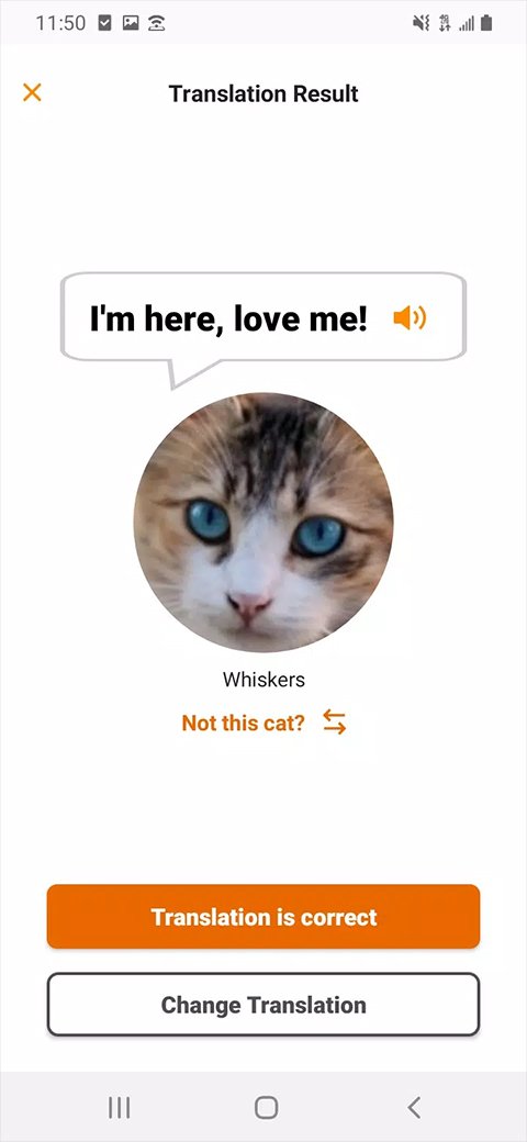 meowtalk4