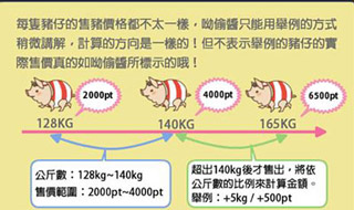 养猪场mix游戏