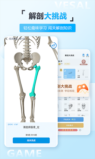 维萨里3D解剖app1