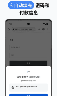 chrome谷歌浏览器截图3