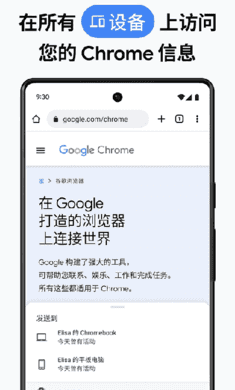 chrome谷歌浏览器截图2