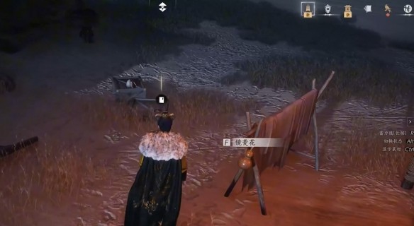 游侠网5