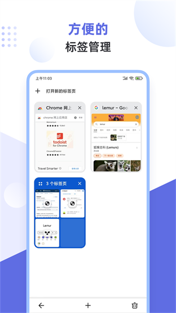 狐猴浏览器4
