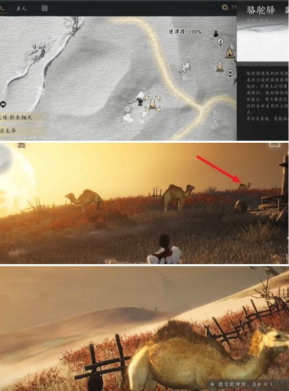 燕云十六声骆驼铃铛任务怎么做