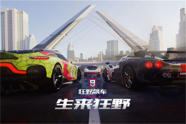 狂野飙车91