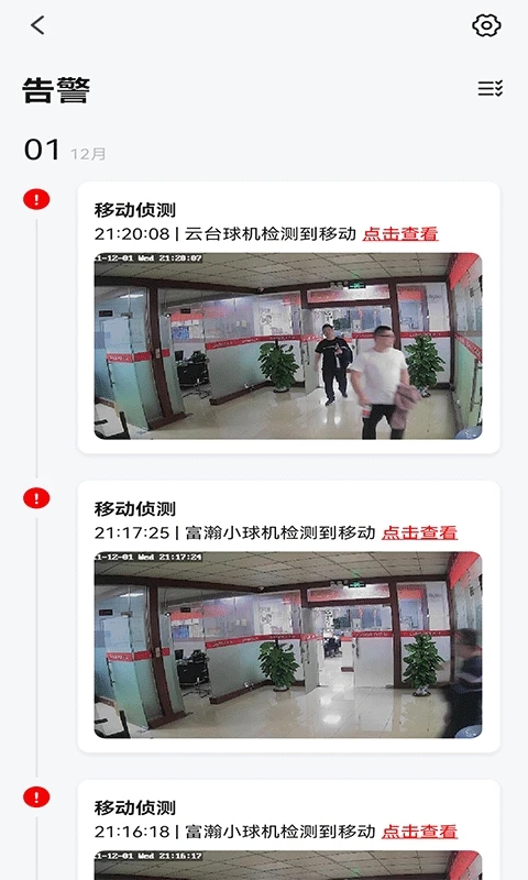 小强当家4