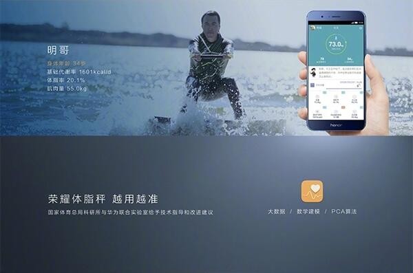 荣耀体脂秤app下载