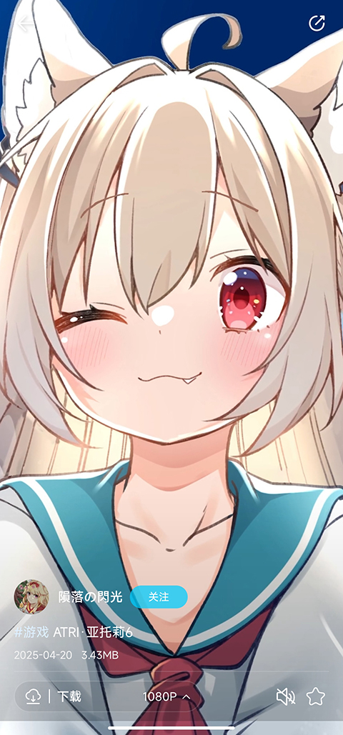 星咩视频壁纸