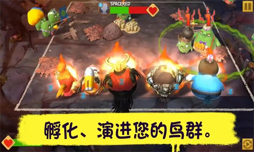 愤怒的小鸟无双版截图3