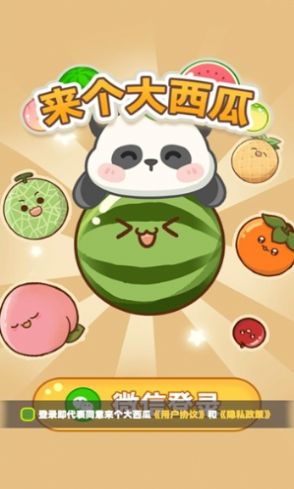 来个大西瓜截图3