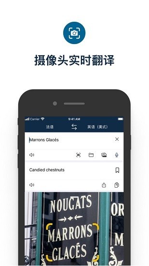 DeepL翻译