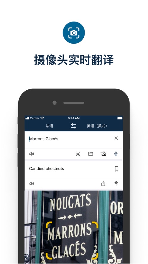 Deepl手机版截图2