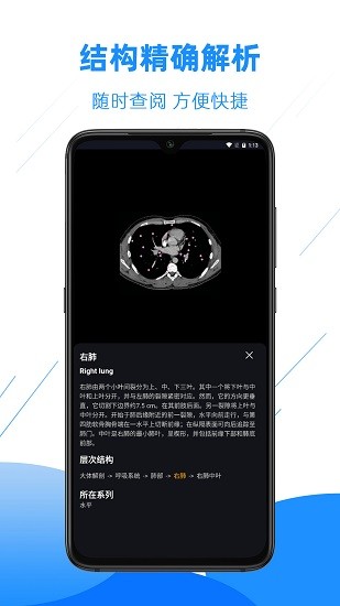 影像解剖图谱app截图1