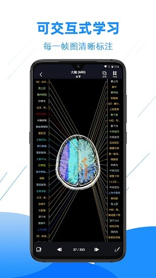 影像解剖图谱app截图3