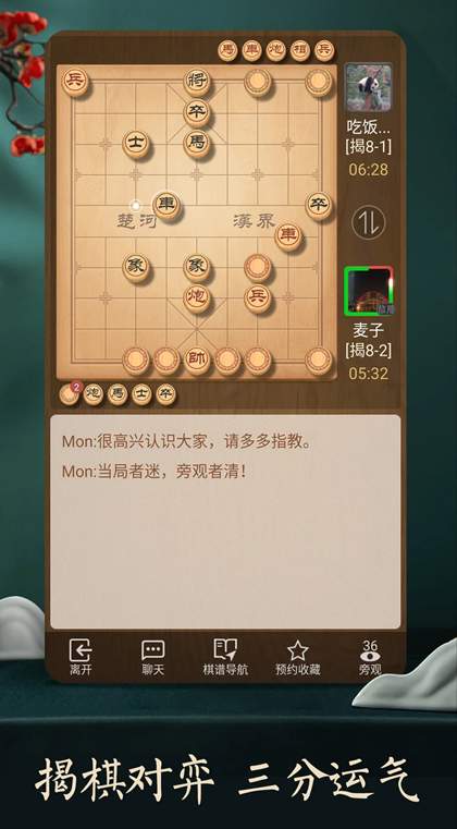 天天象棋无障碍版