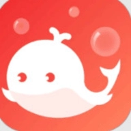 泡正版