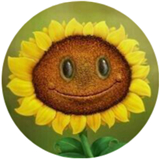 植物大战僵尸北美汉化版